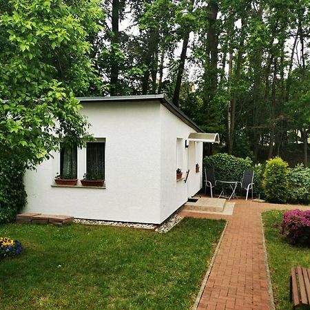 Ferienbungalow Im Igelbau Baabe Extérieur photo