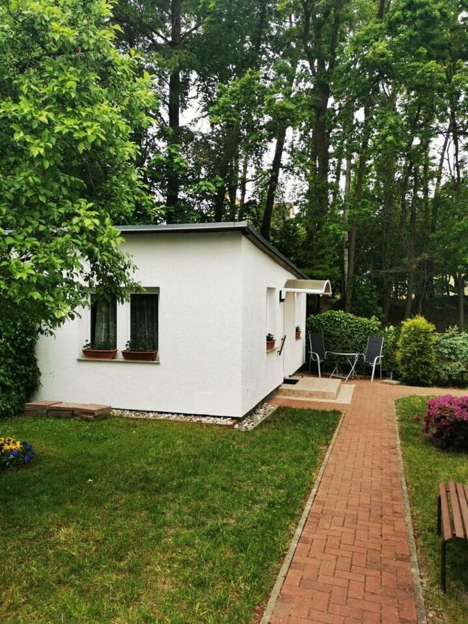 Ferienbungalow Im Igelbau Baabe Extérieur photo
